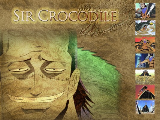 One Piece Crocodile X Vivi 640x960 Wallpaper Teahub Io