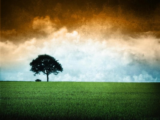 Tiranga Wallpapers Indian Flag Indian Flag Wallpaper For Mobile Hd