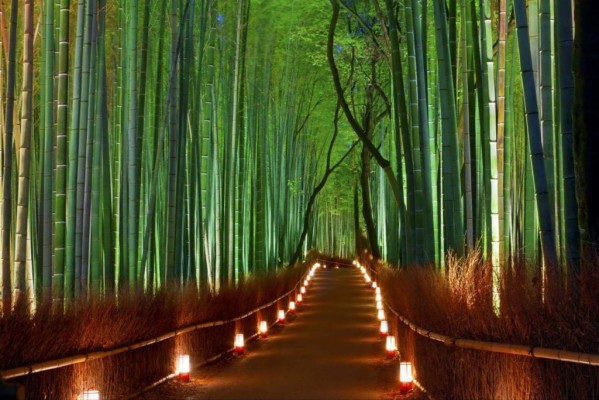 Arashiyama Bamboo Forest Facts 1024x683 Wallpaper Teahub Io