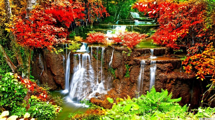 Waterfall Surrounded By Flowers 1920x1080 Wallpaper Teahub Io