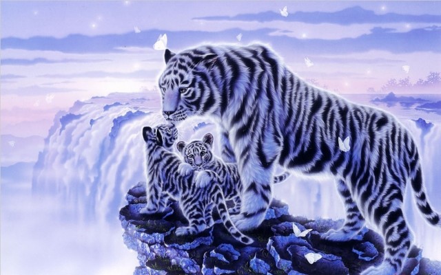 X White Tiger Wallpapers Snow Tiger Wallpaper Hd X