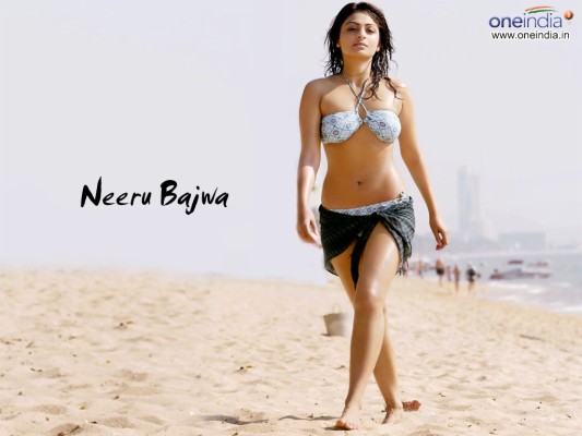 Neeru Bajwa Hot Bikini X Wallpaper Teahub Io Hot Sex Picture