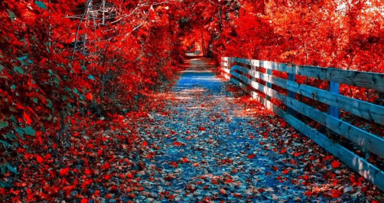 Ultra Hd Wallpaper Autumn 1024x540 Wallpaper Teahub Io