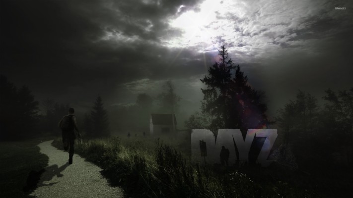 P Dayz Background X Wallpaper Teahub Io