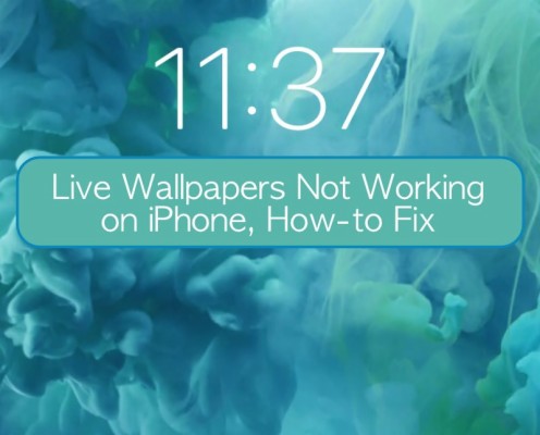 live photo wallpaper iphone not working