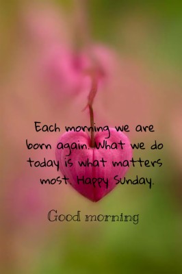 Sunday Good Morning Wallpaper - Good Morning Happy Sunday - 1080x1620  Wallpaper 