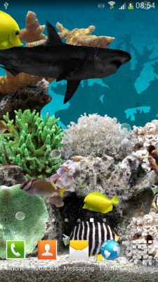 Marine Aquarium Widescreen - Marine Aquarium - 1920x1200 Wallpaper ...