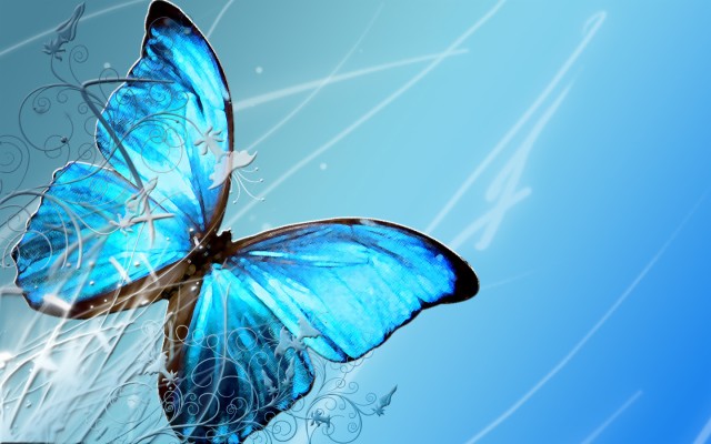 Blue Butterfly Background Design - 1440x900 Wallpaper - teahub.io