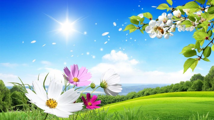 Spring Scenery Wallpapers Group Data Src Img 59325 1080p Natural Scenery Hd 1366x768 Wallpaper Teahub Io