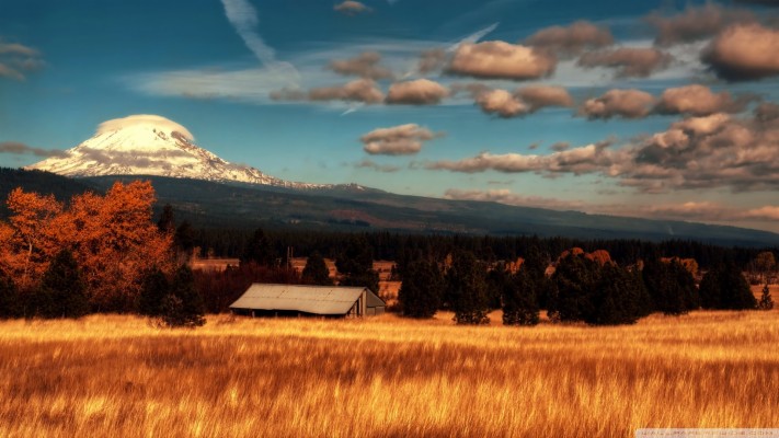 Hd - Deuteronomio 32 46 47  - HD Wallpaper