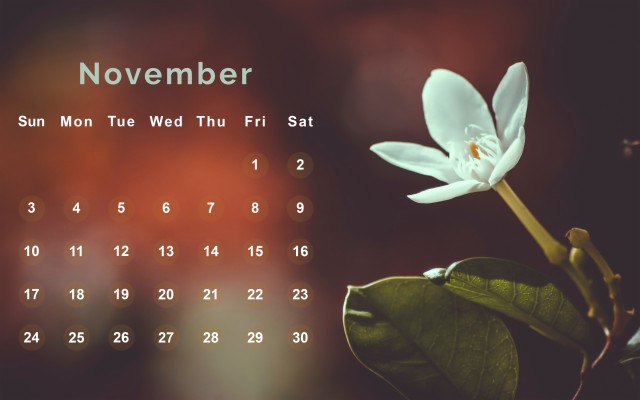 November 2019 Hd Desktop Wallpaper - November 2019 Desktop Calendar ...