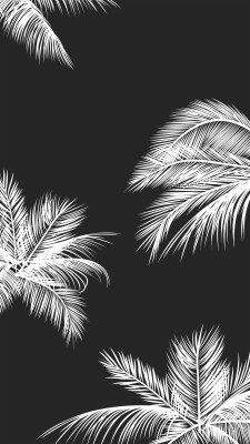 Black White Palm Leaves Palm Trees Like And Repin - Phone Background Black  And White - 1081x1921 Wallpaper 