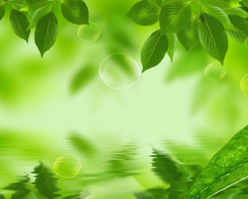 Nature Green Aesthetic Background - 1366x768 Wallpaper - teahub.io