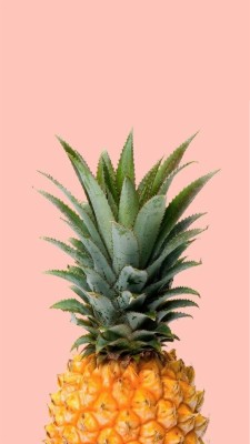Download Pineapple Wallpapers and Backgrounds 
