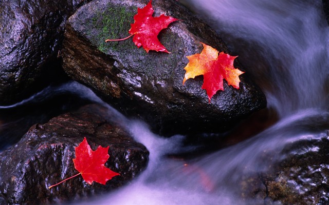 Water Iphone Wallpaper Hd Nature - 1920x1200 Wallpaper - teahub.io