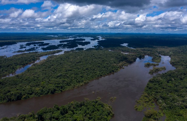 Rain Forest Brazil - 2500x1622 Wallpaper - teahub.io