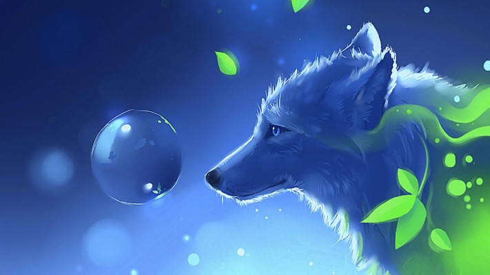 Wolf Animal Cool Background Images