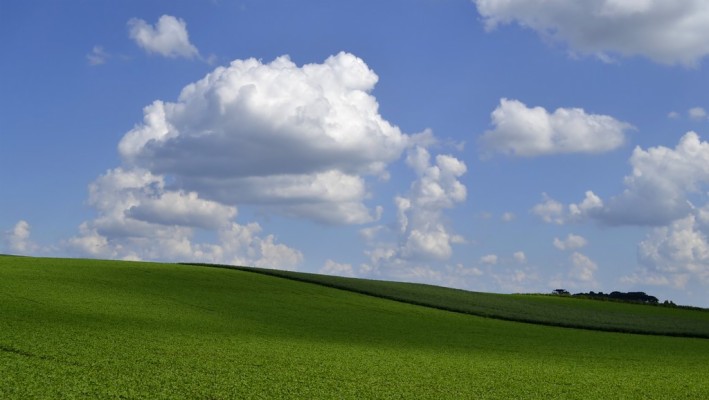 Green Field Windows 7 Scenery Wallpaper - Field With No Trees ...