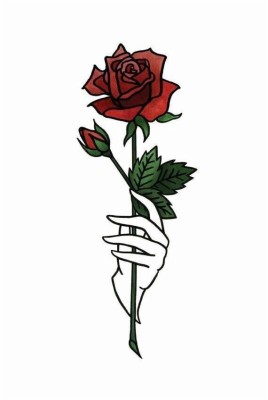 Rose, Red, And Wallpaper Image - Rose Wallpaper Drawing - 570x848 ...