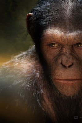 Cesar In Planet Of The Apes - 640x960 Wallpaper - teahub.io