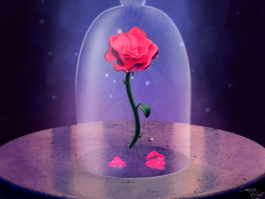 Beauty And The Beast Pink Rose 19x1440 Wallpaper Teahub Io