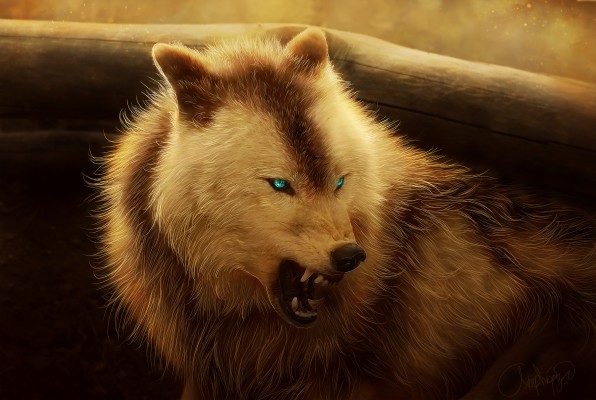 Angry Wolf - 2560x2048 Wallpaper - teahub.io