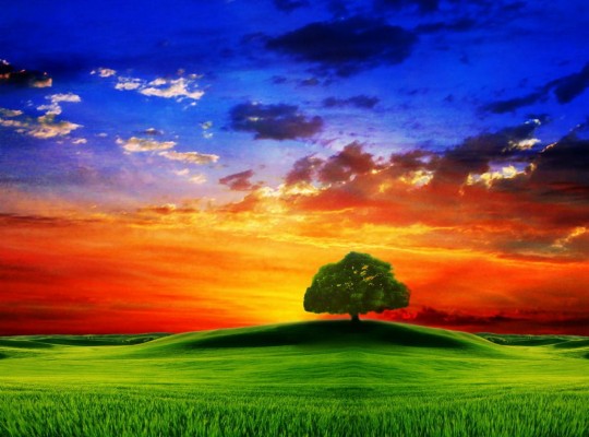 Cool Nature Backgrounds - Colorful Backgrounds Of Nature - 1920x1200  Wallpaper 