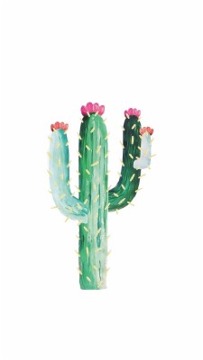 Featured image of post Cactus Aesthetic Background cacti aesthetic cactus cacti screensavers iphone screensaver screensaver screenflavors lockscreen backgrounds