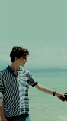 Call Me By Your Name Image Call Me By Your Name Awards 668x10 Wallpaper Teahub Io