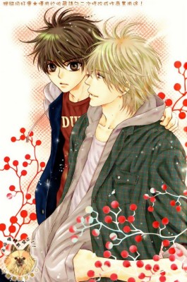 Super Lovers Haru Kaidou - 1200x675 Wallpaper - teahub.io