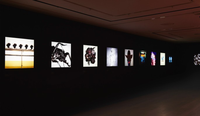 Art Gallery 1920x1080 Wallpaper Teahub Io - Art Gallery Hd Wallpaper Art Gallery 1920x1080 Wallpaper Teahub Io - Art Gallery Hd Wallpaper