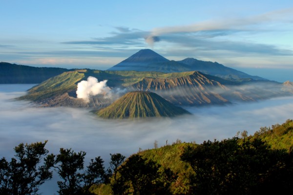 Foto0400 Hewan  Di Gunung  Salak  Bogor 1600x1200 