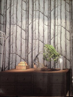 Cole And Sons Woods Wallpaper Spot Wallpapers - Cole And Son Woods Grey