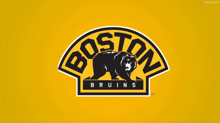 Boston Bruins Wallpaper - 1920x1200 Wallpaper - teahub.io