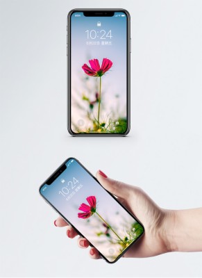 Wallpaper Ponsel Bunga Liar Yang Indah - Hình Nền Điện Thoại Mau Vàng  - HD Wallpaper