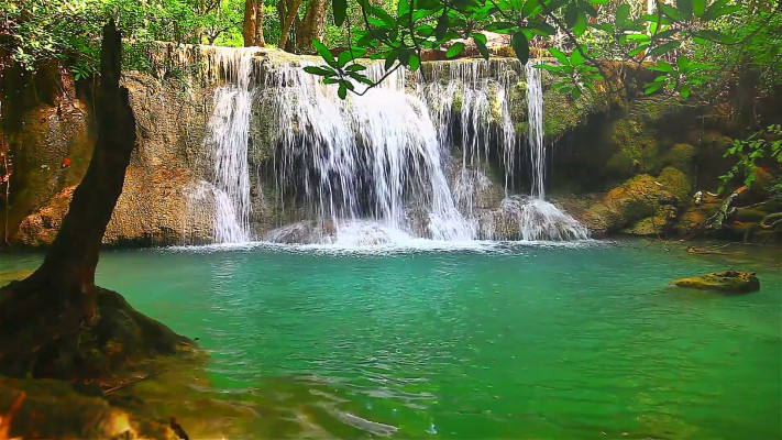 Jasmine Haynes Free, Waterfall In The Forest - Water Fall Images Hd ...