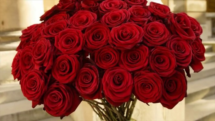 Bunch Of Red Rose Hd 1280x720 Wallpaper