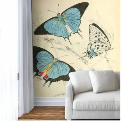 Vintage Butterfly Illustrations - 1000x1003 Wallpaper - teahub.io