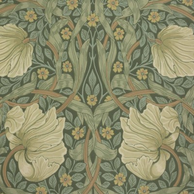 Pimpernel Wallpaper Morris And Co Bayleaf Manilla Osborne And Little Trailing Orchid 10x10 Wallpaper Teahub Io