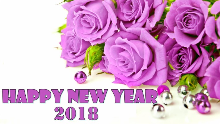 Happy New Year Flower Images Hd Wallpaper Wallpaper - Happy New Year Flower  - 1920x1200 Wallpaper 