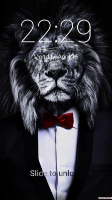 Lion Live 736x1308 Wallpaper Teahub Io