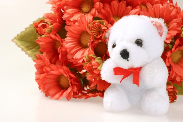 Teddy Bear With Flowers 4k - 1080x1920 Wallpaper - Teahub.io