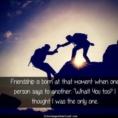 Download Friendship Download Wallpapers and Backgrounds - teahub.io
