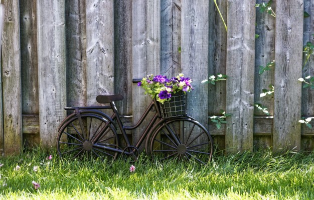 Photo Wallpaper Wallpaper, Grass, Bicycle, Bike, Wood, - Grass ...