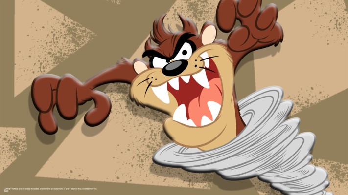 Taz Wallpaper - Taz Wallpaper Hd - 1920x1080 Wallpaper - teahub.io