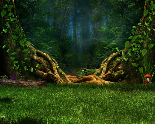 Backdrop Forest - 3000x2400 Wallpaper - teahub.io