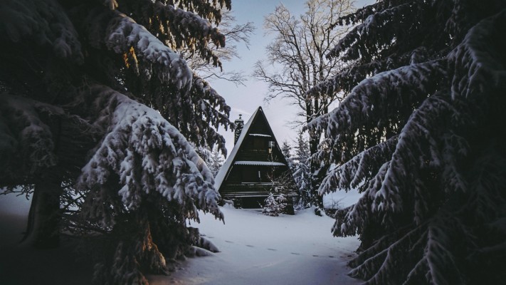 Wallpaper House, Winter, Snow, Forest, Comfort - Winter Forest ...