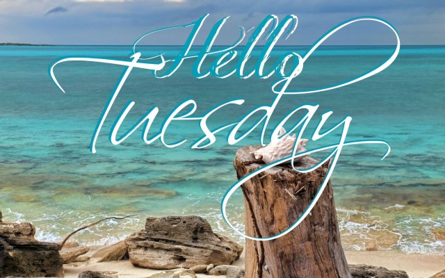 Hello Tuesday - 1920x1200 Wallpaper - teahub.io