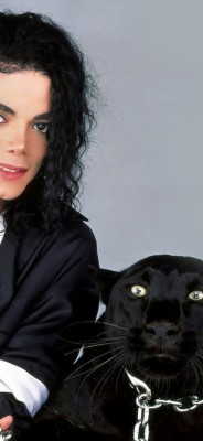 Iphone 6 Michael Jackson - 800x600 Wallpaper 