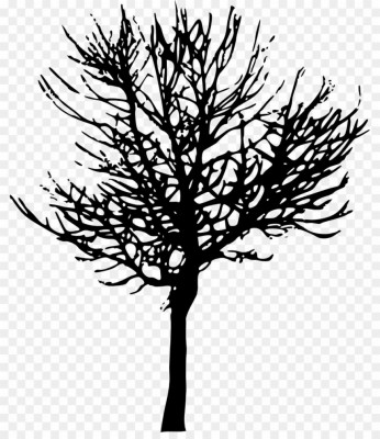 Tree Rootsvector With Family - Black Transparent Background Tree ...